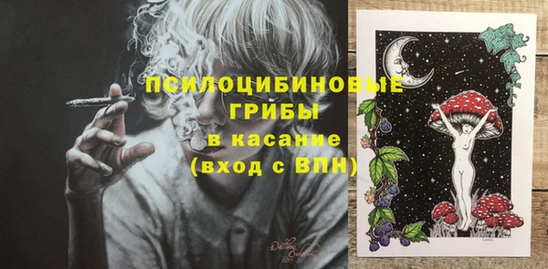 Альфа ПВП Горно-Алтайск