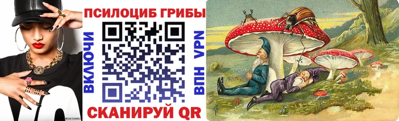 купить   Березники  Галлюциногенные грибы Cubensis 